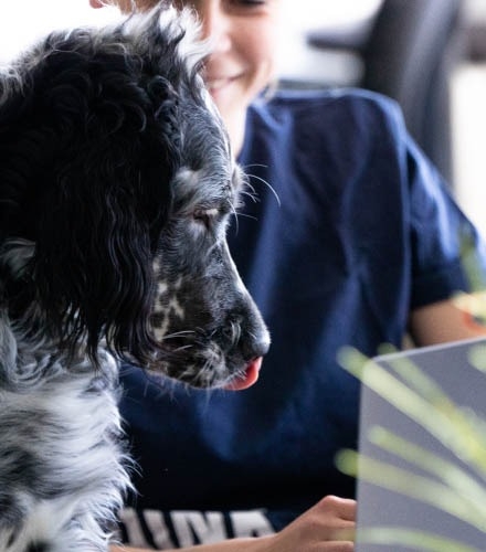 A person with a dog in their lap.