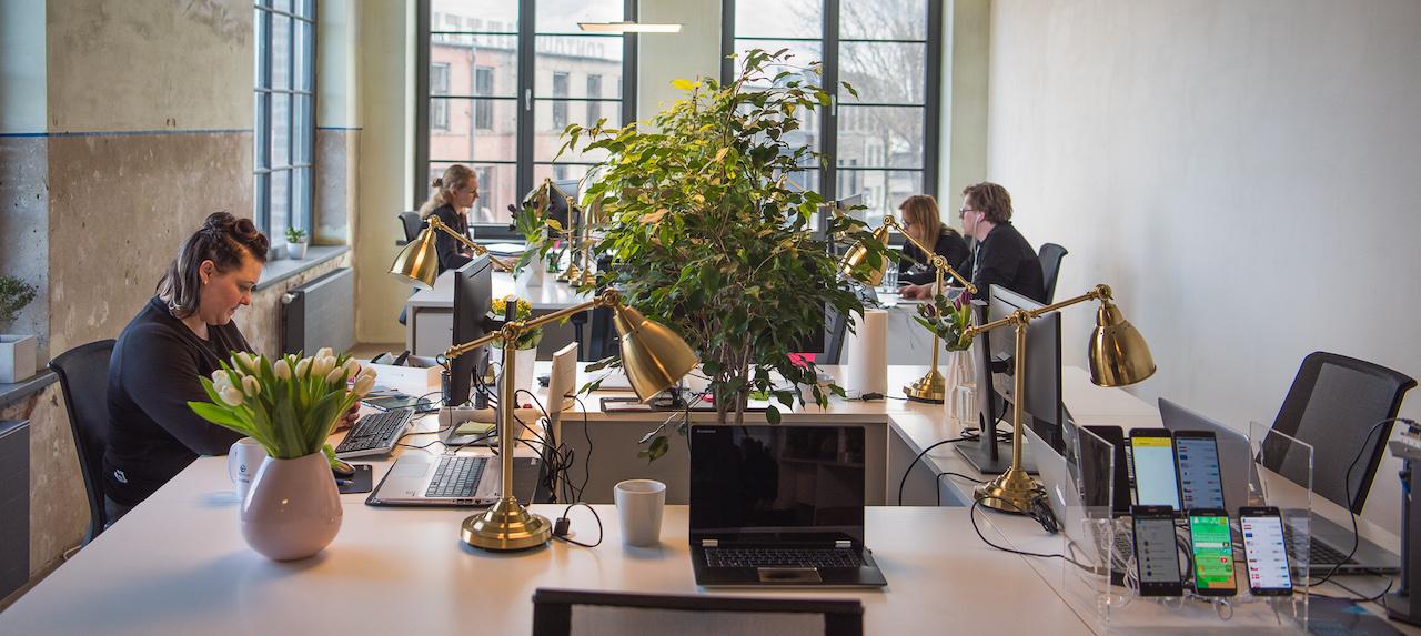 TestDevLab engineers working in office